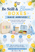 Be Still & Bloom Boxes 🪴